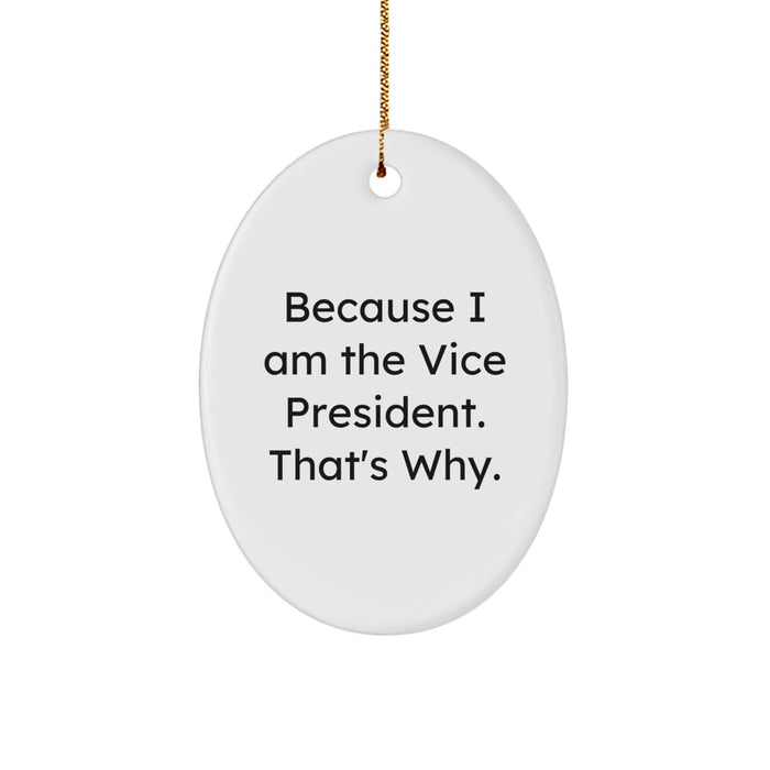 Funny Vice President Oval Ornament Gifts from Friends for Men, Unique Christmas Unique Gifts - Image 1