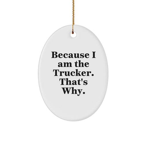 Funny Trucker Oval Ornament Gifts from Men to Trucker Friends for Christmas Unique Decoration Idea - Image 1
