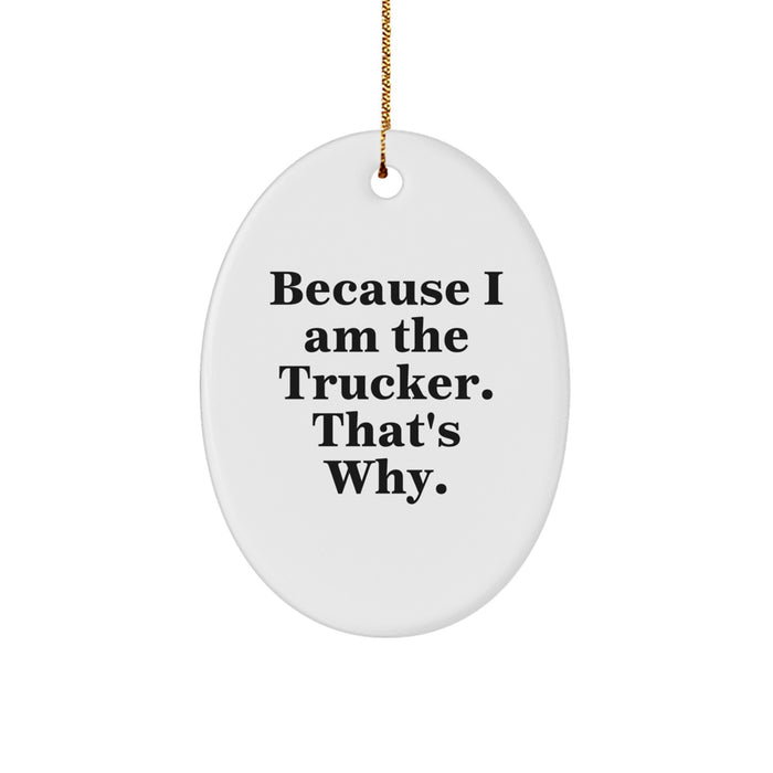 Funny Trucker Oval Ornament Gifts from Men to Trucker Friends for Christmas Unique Decoration Idea - Image 1