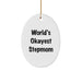 Funny Stepmom Gift, World's Okayest Stepmom Oval Ornament, Christmas Unique Gifts from Family, Stepmom - Image 1