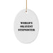 Funny Stepsister Gifts for Her, World's Okayest Stepsister Oval Ornament, Personalized Christmas Unique Gifts from Family - Image 1