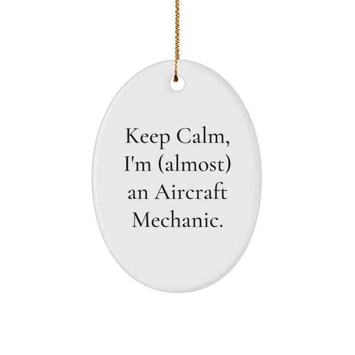 Funny Aircraft Mechanic Gift for Friends, Unique Oval Ornament, Christmas Unique Gifts from Friends to Friends - Image 1