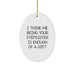 Funny Stepsister Christmas Oval Ornament Gifts from Men to Women, I Think Me Being Your Stepsister Is Enough Of A Gift, Unique Stepsister - Image 1