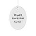 Funny Mail Carrier Oval Ornament Gifts from Men for Women Friends and Family - Amazing F--king Mail Carrier Christmas Unique Gifts - Image 1