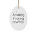 Funny Operator Gifts for Men - Gifts from Friends, Christmas Unique Gifts for Operators, Amazing Operator Quote Oval Ornament - Image 1