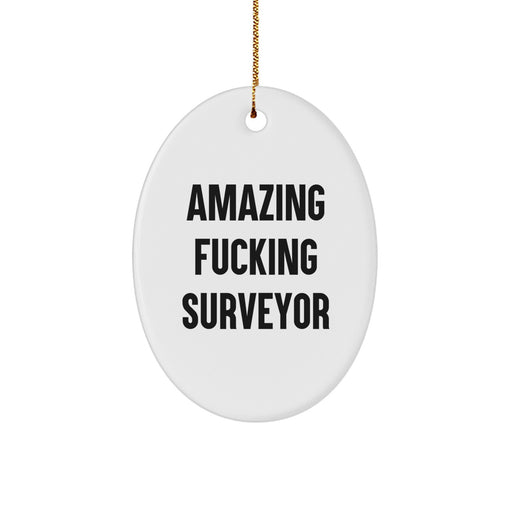 Amazing F--king Surveyor Oval Ornament Gifts from Family to Surveyor Friends - Image 1