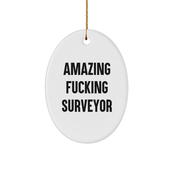 Amazing F--king Surveyor Oval Ornament Gifts from Family to Surveyor Friends - Image 1