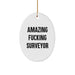Amazing F--king Surveyor Oval Ornament Gifts from Family to Surveyor Friends - Image 1