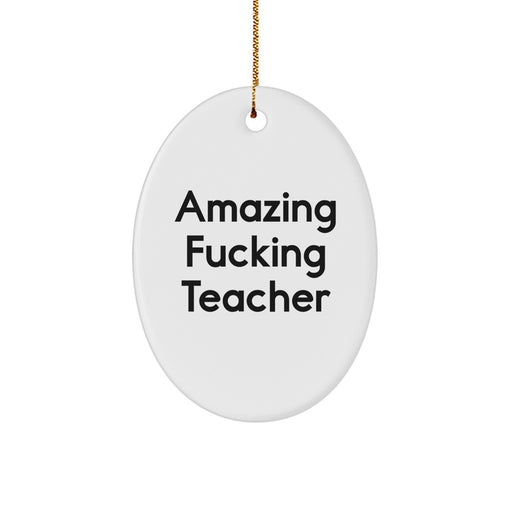 Funny Teacher Gifts from Friends, Oval Ornament Quote Amazing, Christmas Unique Teacher Decorations - Image 1