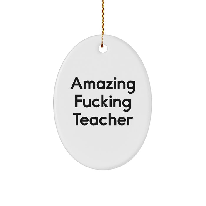 Funny Teacher Gifts from Friends, Oval Ornament Quote Amazing, Christmas Unique Teacher Decorations - Image 1