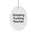 Funny Teacher Gifts from Friends, Oval Ornament Quote Amazing, Christmas Unique Teacher Decorations - Image 1
