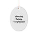 Funny Vice-principal Gifts from Friends for Vice-principal at Christmas Unique Gifts - Image 1