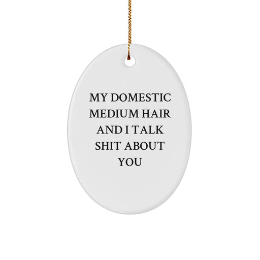 Funny Domestic Medium Hair Cat Oval Ornament Gifts for Family Friends, Christmas Unique Gifts from Women to Men, 'My Domestic Medium Hair And I Talk Shit About You' Quote - Image 1