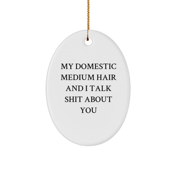 Funny Domestic Medium Hair Cat Oval Ornament Gifts for Family Friends, Christmas Unique Gifts from Women to Men, 'My Domestic Medium Hair And I Talk Shit About You' Quote - Image 1