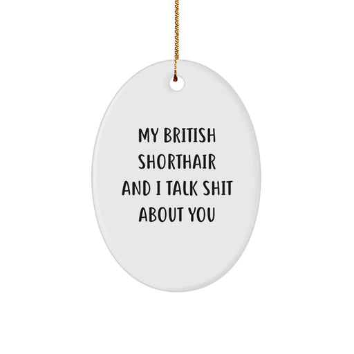 British Shorthair Cat Oval Ornament, Funny Quote Gifts from Men to British Shorthair Cat Owners, Christmas Unique Gifts - Image 1