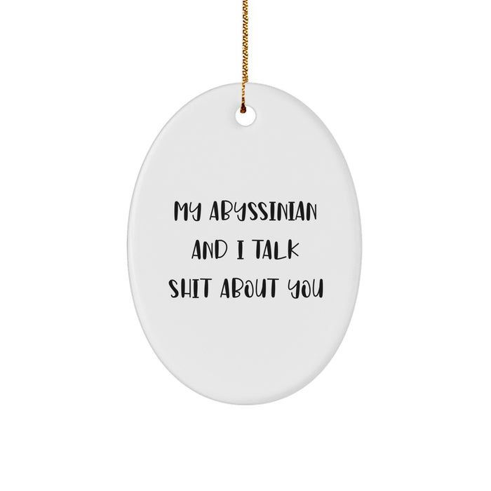 Abyssinian Cat Lovers Christmas Unique Gifts from Friends for Unique Oval Ornament - Image 1