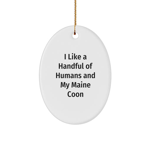 Funny Maine Coon Cat Oval Ornament Gifts from Family to Family for Christmas - Image 1