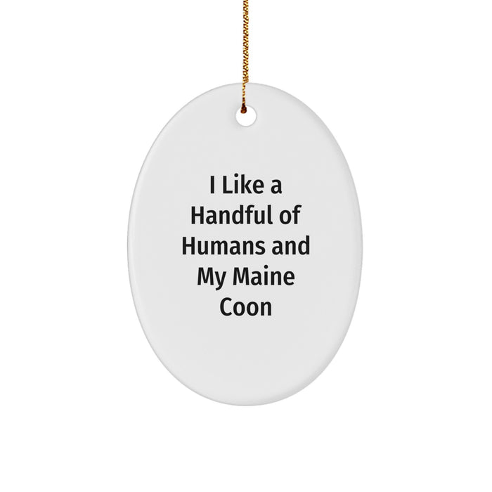 Funny Maine Coon Cat Oval Ornament Gifts from Family to Family for Christmas - Image 1