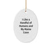 Funny Maine Coon Cat Oval Ornament Gifts from Family to Family for Christmas - Image 1