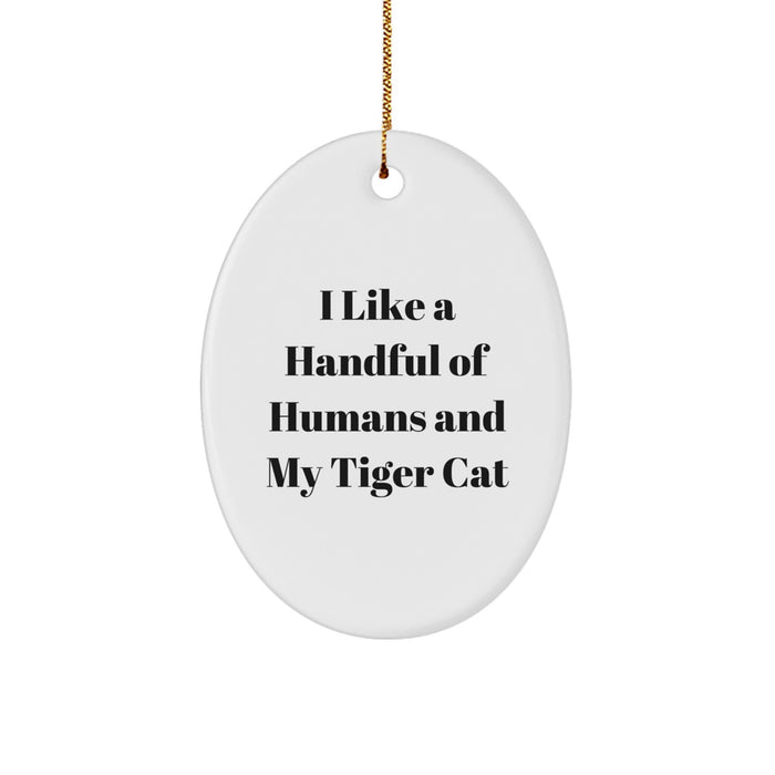 Tiger Cat Oval Ornament Funny Quote Gifts for Friends Christmas Decorations from Men - Image 1