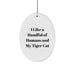Tiger Cat Oval Ornament Funny Quote Gifts for Friends Christmas Decorations from Men - Image 1