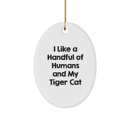 Funny Tiger Cat Oval Ornament Gifts from Friends for Christmas Decorations - A Humorous Quote for Tiger Cat Lovers - Image 1