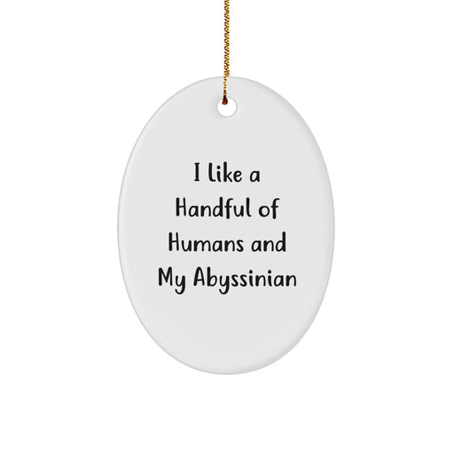 Funny Abyssinian Cat Oval Ornament Gifts for Cat Lovers from Family during Christmas - Image 1
