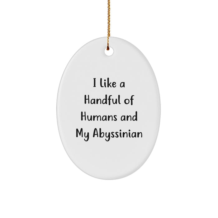 Funny Abyssinian Cat Oval Ornament Gifts for Cat Lovers from Family during Christmas - Image 1