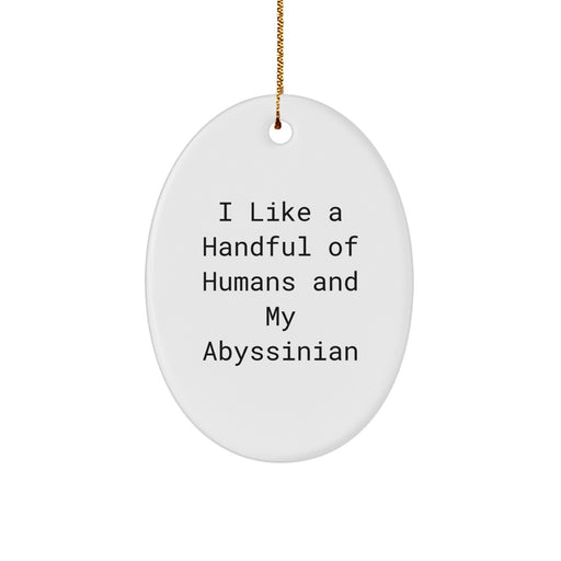 Funny Abyssinian Cat Gifts, Cute Oval Ornament for Christmas, I Like A Handful Of Humans And My Abyssinian Cat Lover Men - Image 1