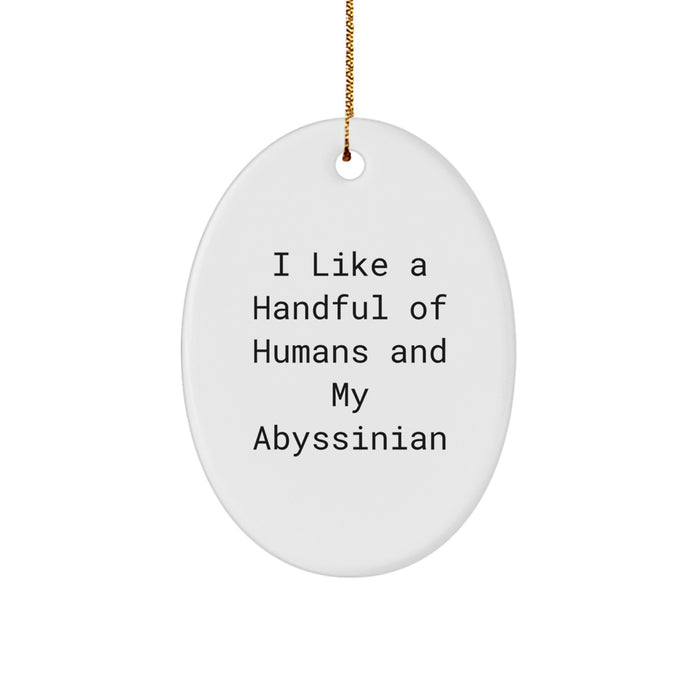 Funny Abyssinian Cat Gifts, Cute Oval Ornament for Christmas, I Like A Handful Of Humans And My Abyssinian Cat Lover Men - Image 1