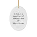 Funny Abyssinian Cat Gifts, Cute Oval Ornament for Christmas, I Like A Handful Of Humans And My Abyssinian Cat Lover Men - Image 1
