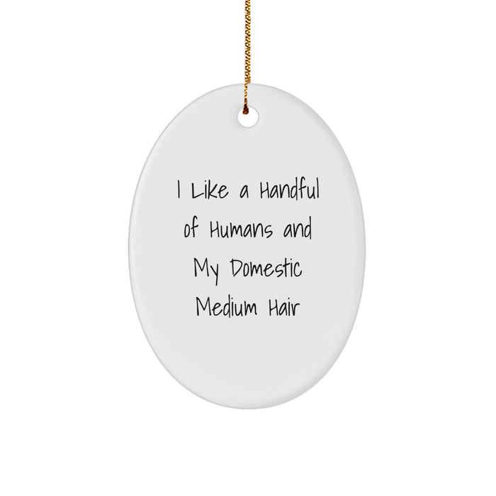 Funny Domestic Medium Hair Oval Ornament Gifts for Men from Women, 'I Like A Handful Of Humans And My Domestic Medium Hair' Christmas Unique Gifts - Image 1