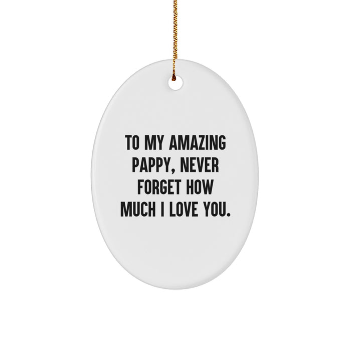 Funny Christmas Unique Gifts for Pappy, To My Amazing Pappy Oval Ornament, Beautiful Pappy Gifts from Family - Image 1