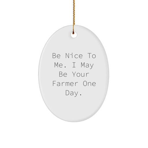Fun Farmer Gifts from Friends, Family for Men, Women - Be Nice To Me Funny Oval Ornament Christmas Unique Decorations - Image 1