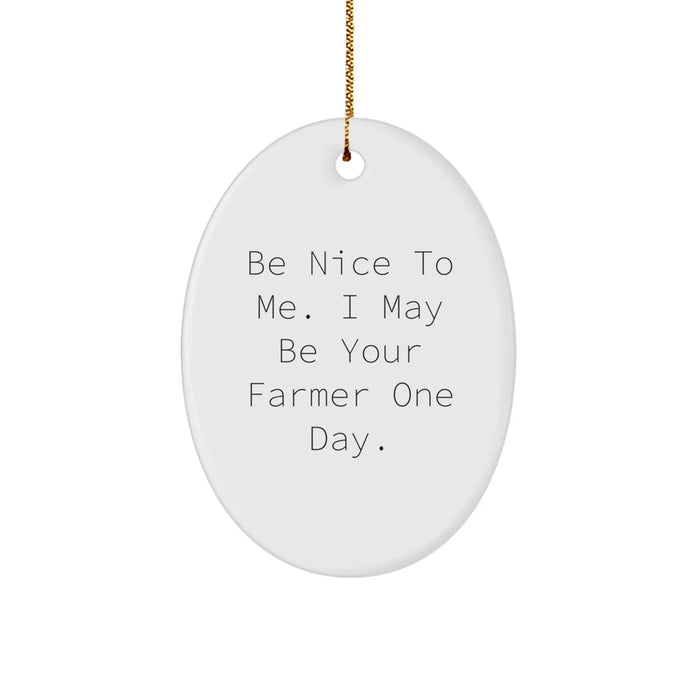 Fun Farmer Gifts from Friends, Family for Men, Women - Be Nice To Me Funny Oval Ornament Christmas Unique Decorations - Image 1