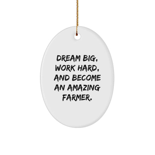 Funny Oval Ornament Gifts from Family to Amazing Farmer, Dream Big Work Hard - Image 1