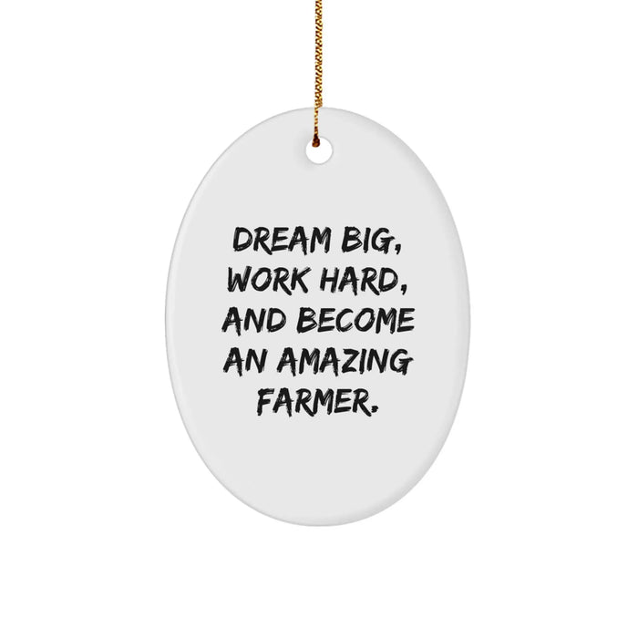 Funny Oval Ornament Gifts from Family to Amazing Farmer, Dream Big Work Hard - Image 1