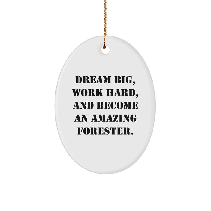 Funny Forester Gifts, Dream Big - Inspirational Gifts for Foresters, Oval Ornament Christmas Unique - Image 1