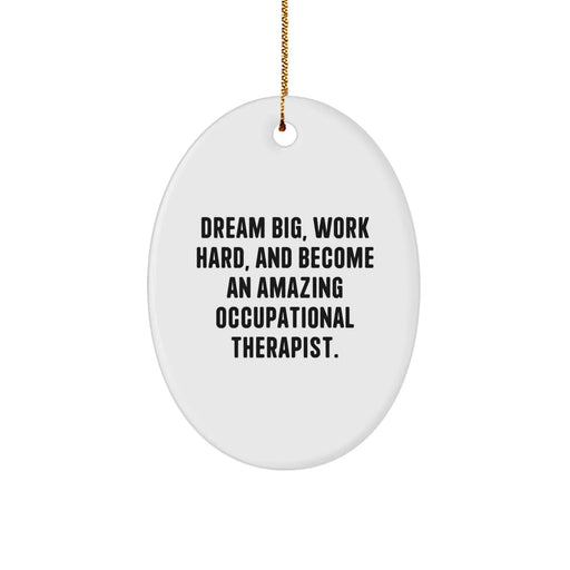 Occupational Therapist Gifts from Friends - Dream Big Work Hard Oval Ornament for Christmas Unique Presents for Occupational Therapist - Image 1