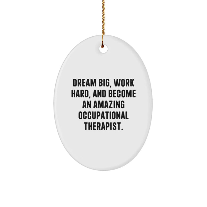 Occupational Therapist Gifts from Friends - Dream Big Work Hard Oval Ornament for Christmas Unique Presents for Occupational Therapist - Image 1