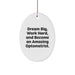 Funny Inspirational Optometrist Gifts from Family Members for Christmas Unique Oval Ornament Decorations, 'Dream Big, Work Hard, And Become An Amazing Optometrist.' - Image 1
