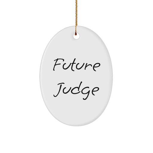 Funny Judge Oval Ornament Gifts for Judge Men from Family, Funny Christmas Unique Gifts for Judge Men, Judge Future Judge Oval Ornament - Image 1
