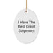Funny Stepmom Gifts, Oval Ornament, I Have The Best Great Stepmom, Gifts from Family to Stepmom, Christmas Unique Gifts - Image 1