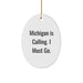 Funny Michigan Oval Ornament Gifts from Friends for Michigan Enthusiasts on Christmas - Image 1