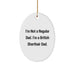 British Shorthair Cat Dad Gifts, Funny Oval Ornament, Christmas Unique Gifts from Men to British Shorthair Cat Lover - Image 1