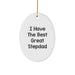 Funny Stepdad Gifts from Family - 'I Have The Best Great Stepdad' Oval Ornament for Christmas Unique Gifts - Image 1