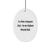 Funny Afghan Hound Dog Gifts from Dad to Son - Unique Oval Ornament for Afghan Hound Dog Lovers - Christmas Decorations for Home - Image 1