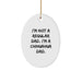 Funny Chihuahua Dad Oval Ornament Gifts from Men to Friends for Christmas Unique Decorations - Image 1