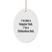 Funny Chihuahua Dog Lover Gifts from Men, Christmas Unique Gifts for Chihuahua Dad, Oval Ornament for Friends - Image 1