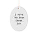 Funny Son Gifts for Him - Great Son Oval Ornament, White, I Have The Best Great Son - Christmas Unique Gifts from Mom - Image 1